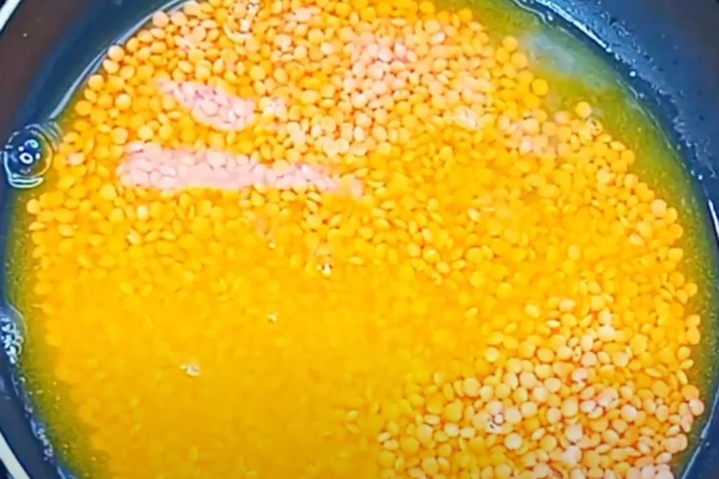 Delicious Dal Puri Recipe Directio 2