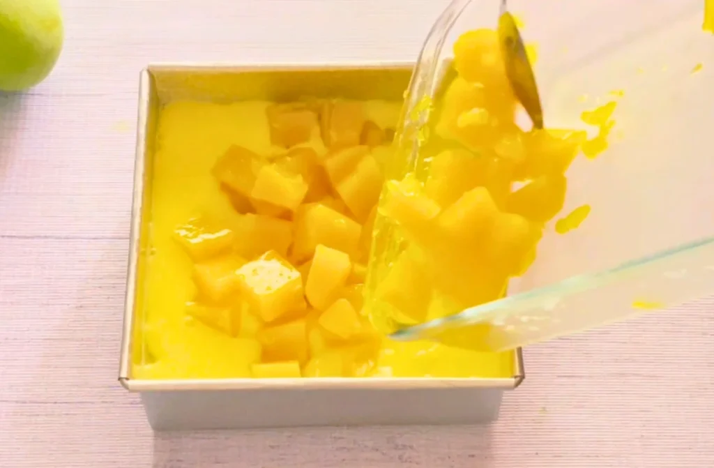 Mango Pudding Recipe